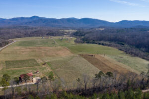 105 Acre Farm With Vineyard