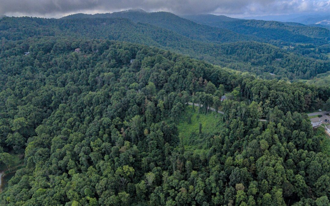 245 Acres Near Blue Ridge Parkway