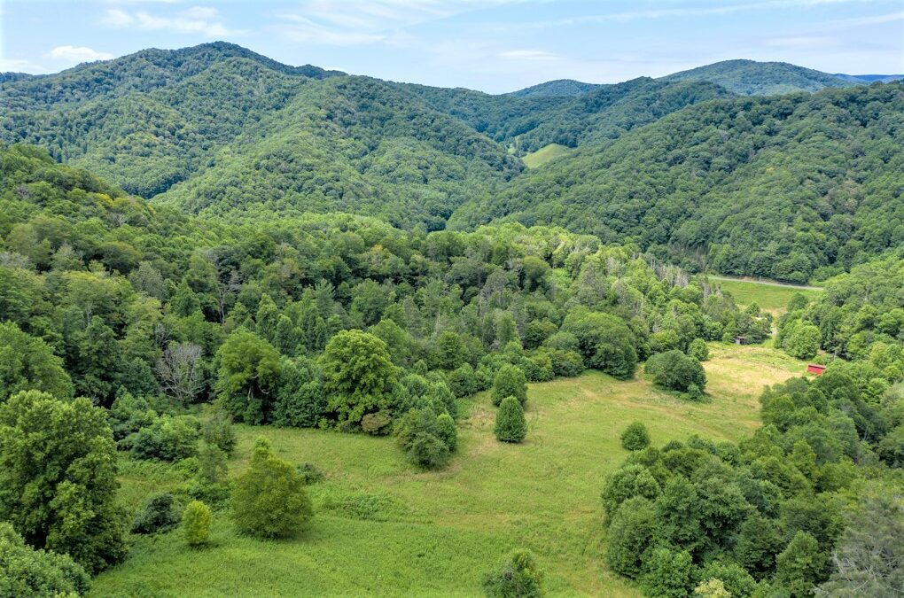 65 Acre Farm With House and Barns