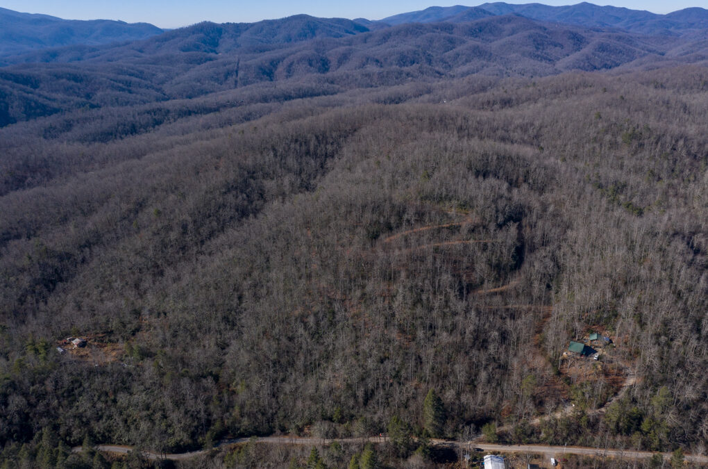 23 Wooded Acres Near Black Mountain
