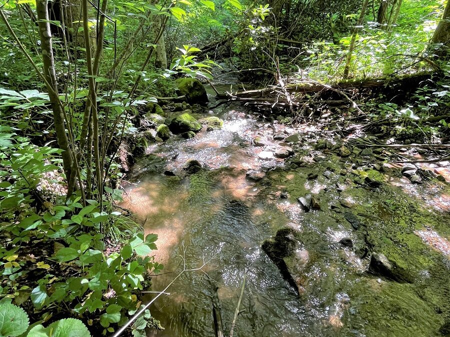 33 Acres With Foundation Near Marshall