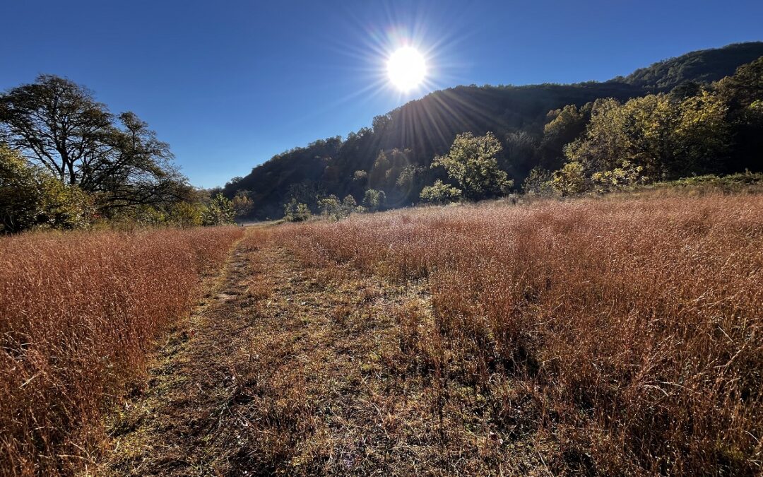 112 Acre Farm Homestead Near Black Mountain