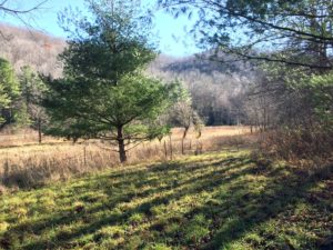 Some of the open fields