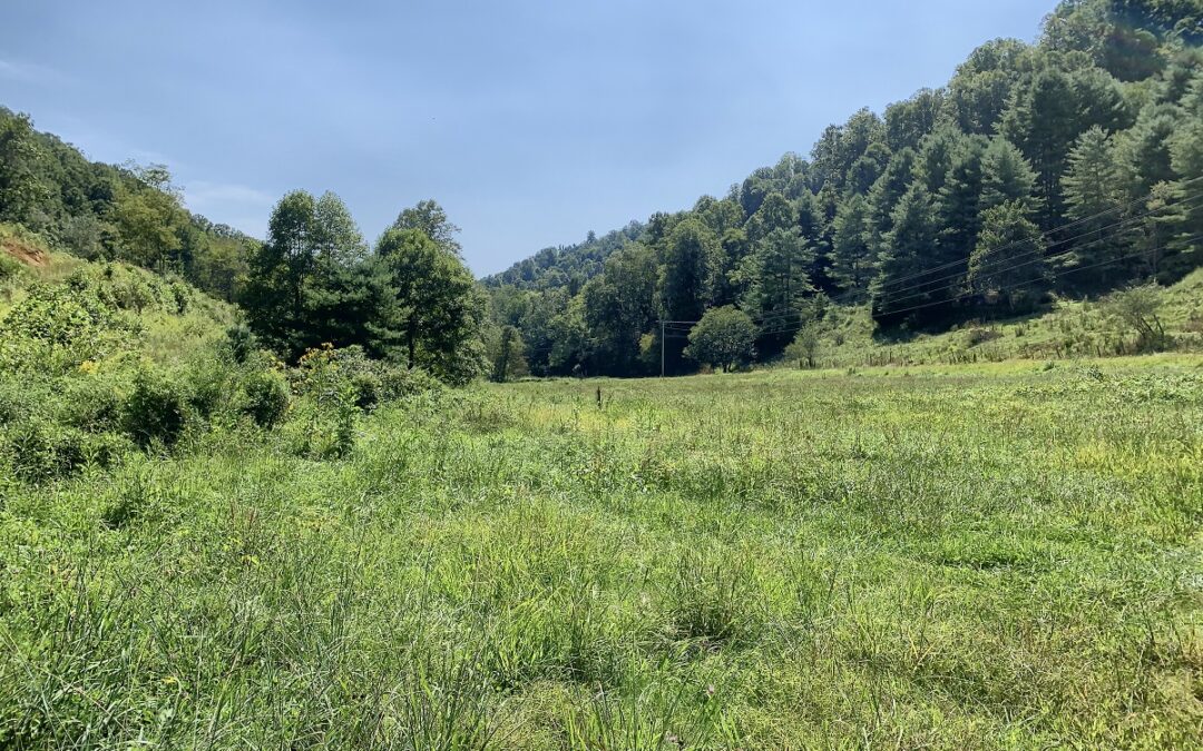 102 Acres Eight Miles North of Marshall