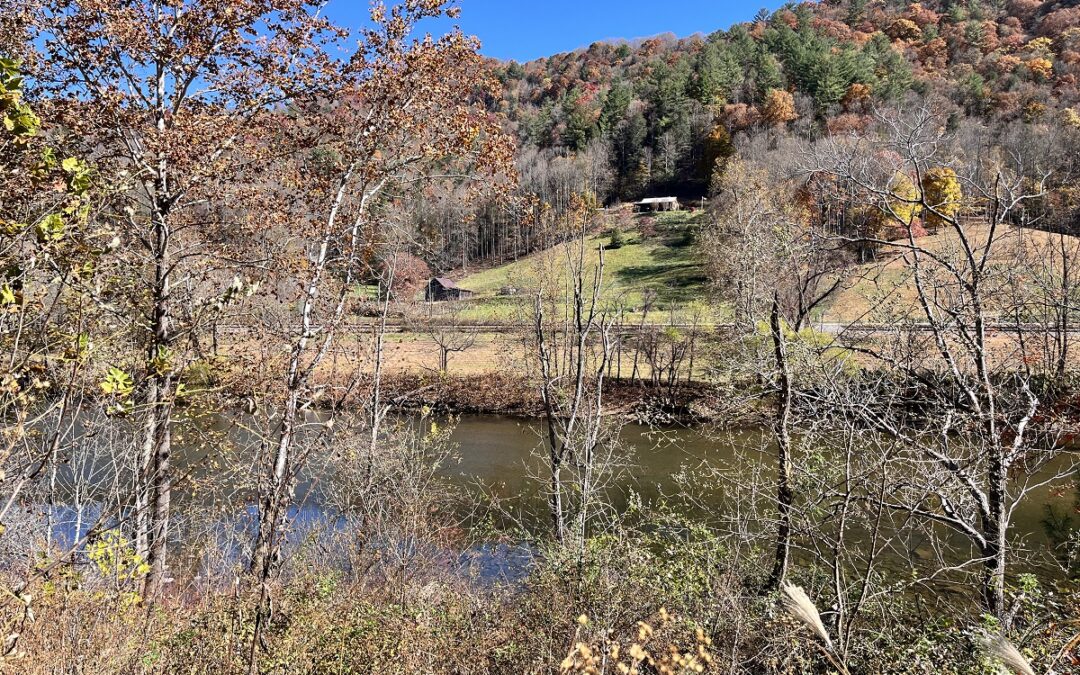 61 Acres Overlooking the Nolichucky River
