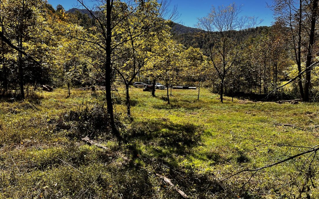 11 Acres with Field and Privacy