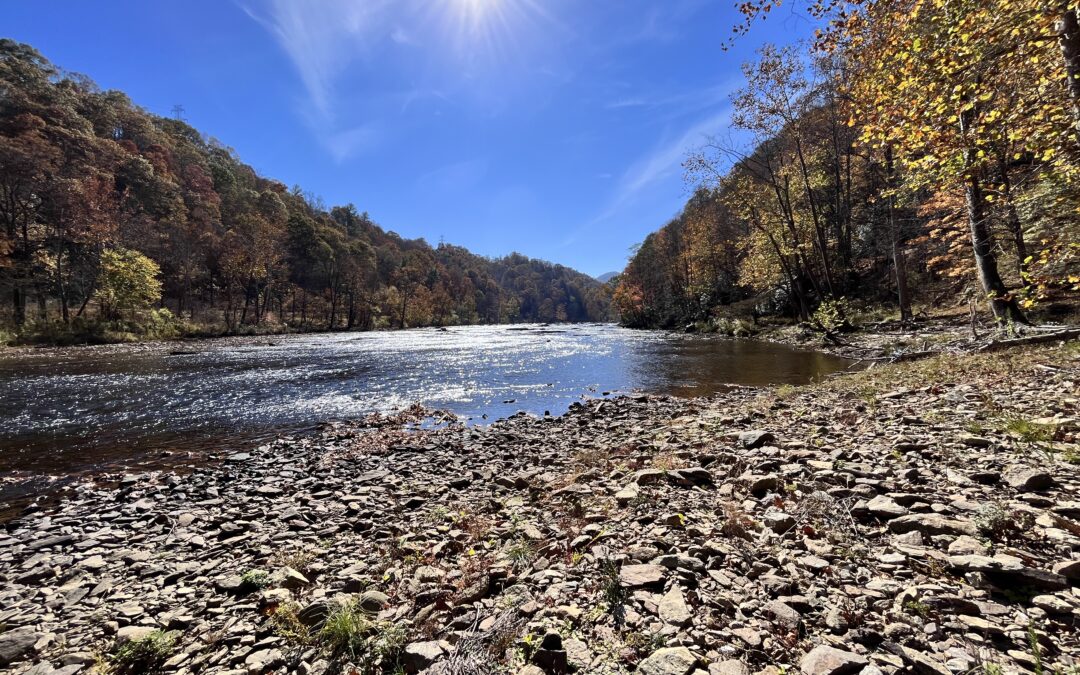 42 Acres With Island Adjoining USFS Land