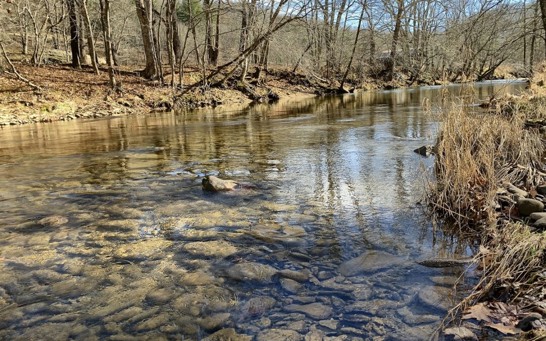 355 Acres With River Frontage Outside Burnsville