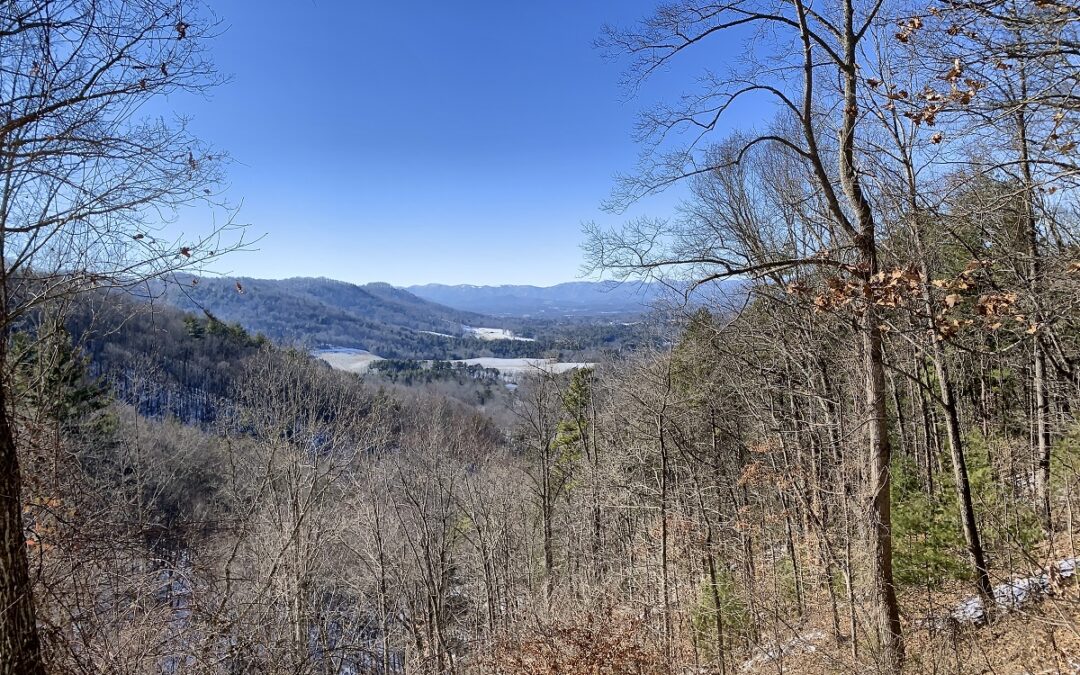 Ten Acres Near Weaverville