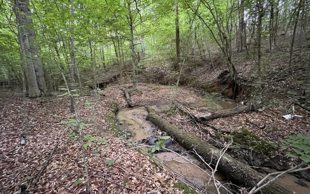 Six Unrestricted Acres South of Marion