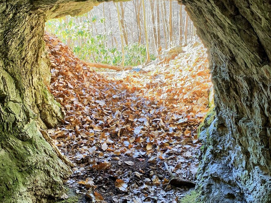 87 Acre Bugout With Cave