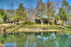 house and pond