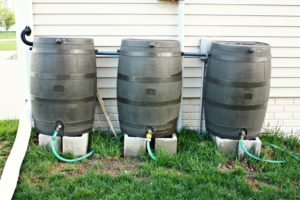 rain barrels