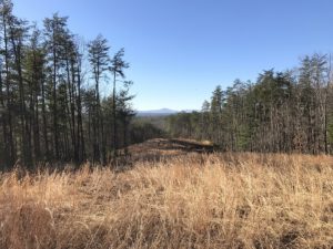 New Lake James Property
