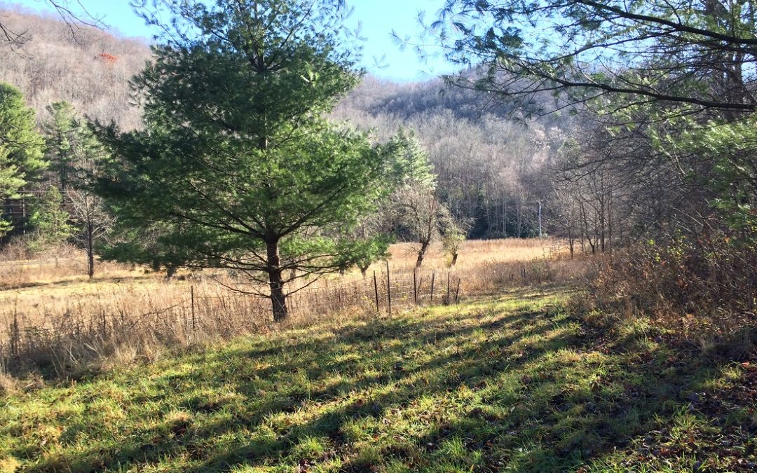 New Listing