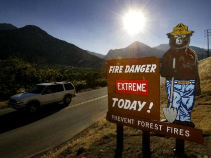 “Only You can Prevent Forest Fires”
